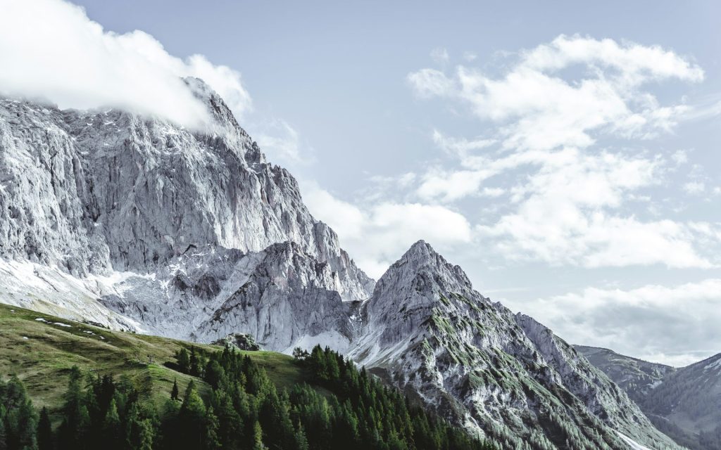 green trees near a snow-covered mountain during the day
